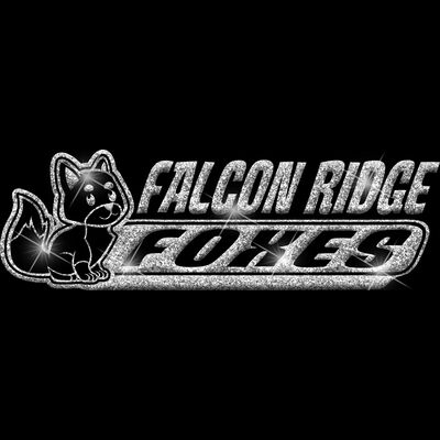 GLT102 SILVER GLITTER Thumbnail