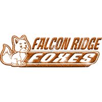 GLT102 ORANGE GLITTER Thumbnail